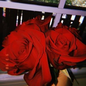 Meet your Posher, Pres